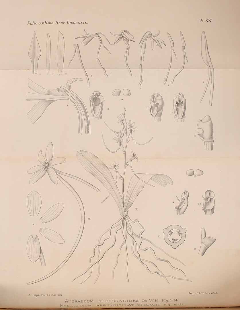 no HD illustration available (m3)