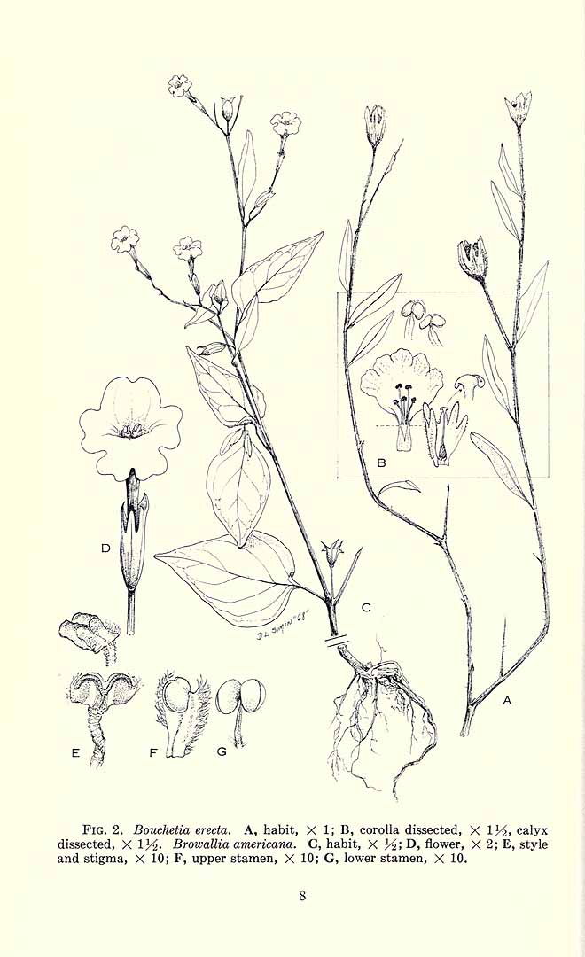 no HD illustration available (m3)