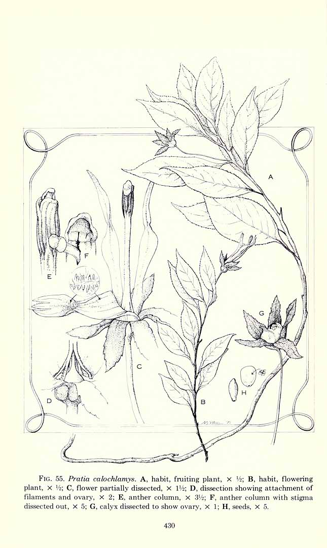 no HD illustration available (m1)