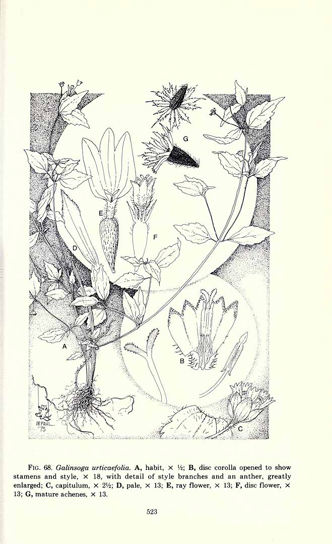 no HD illustration available (m1)