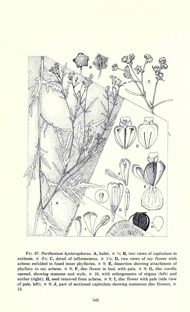 no HD illustration available (m1)