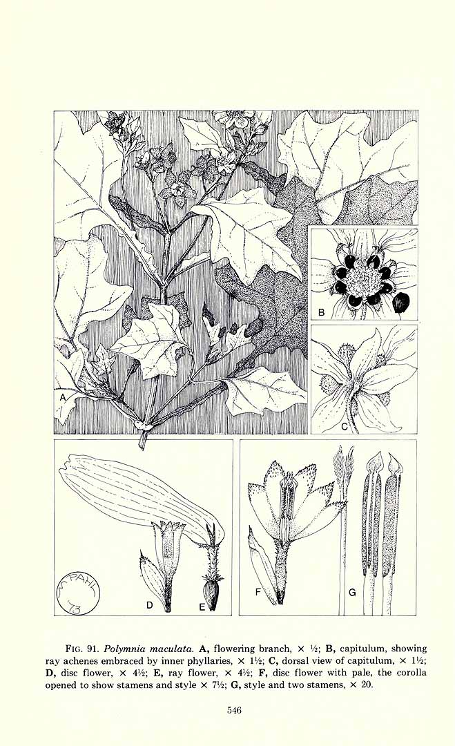 no HD illustration available (m3)