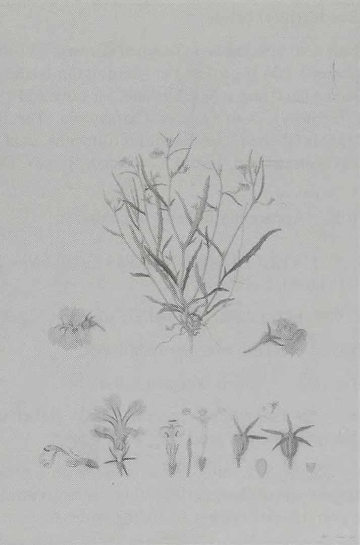 no HD illustration available (m3)