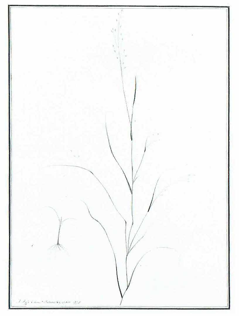no HD illustration available (m3)
