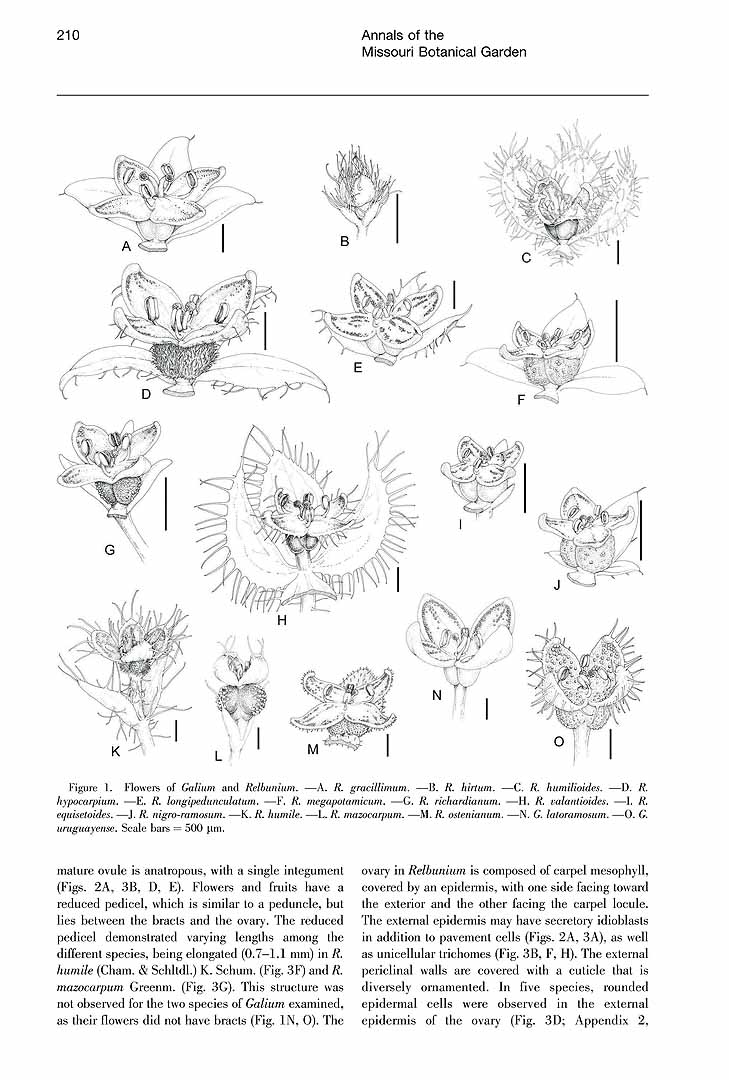 no HD illustration available (m1)