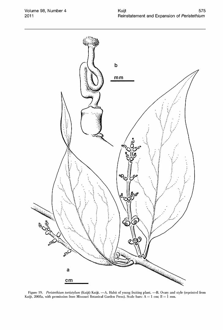 no HD illustration available (m5)