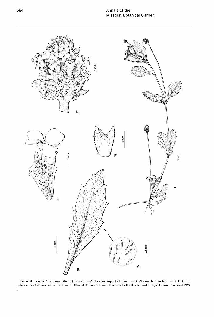 no HD illustration available (m3)