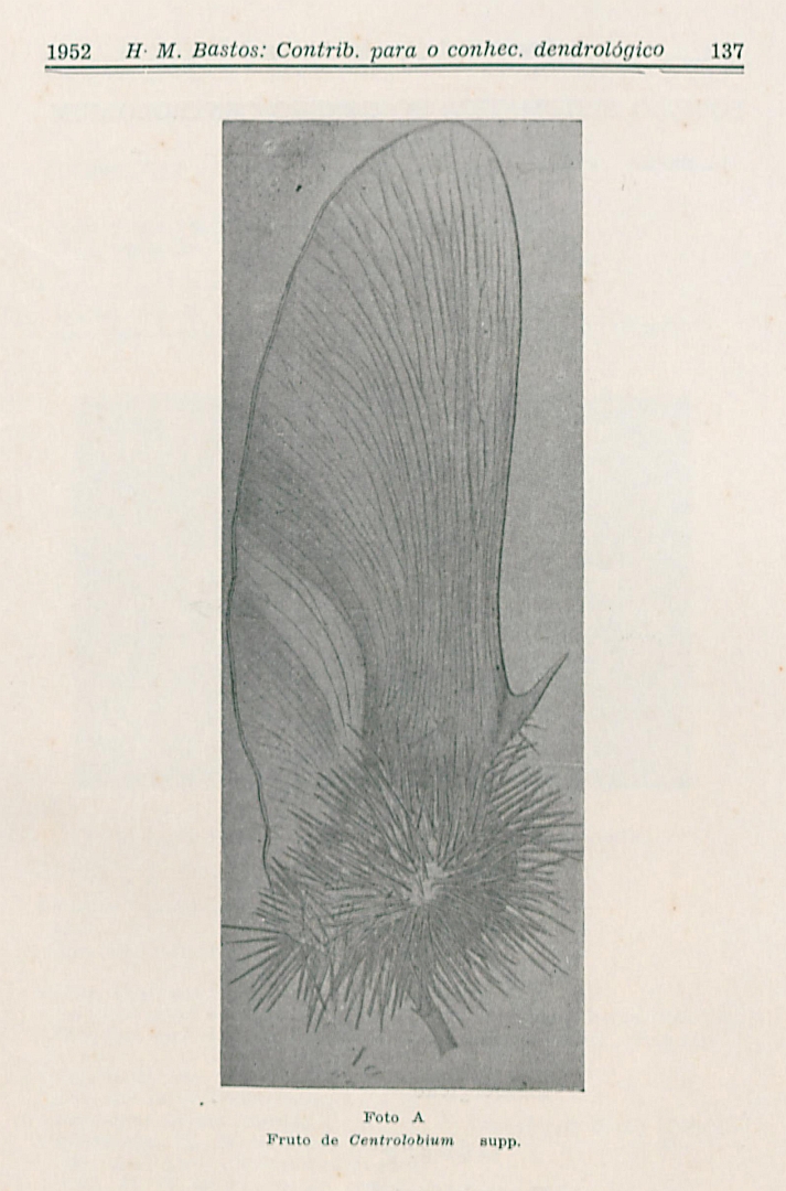 no HD illustration available (m3)