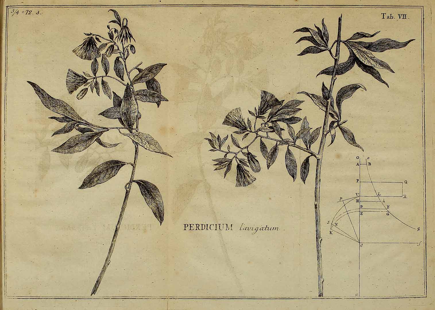 no HD illustration available (m5)