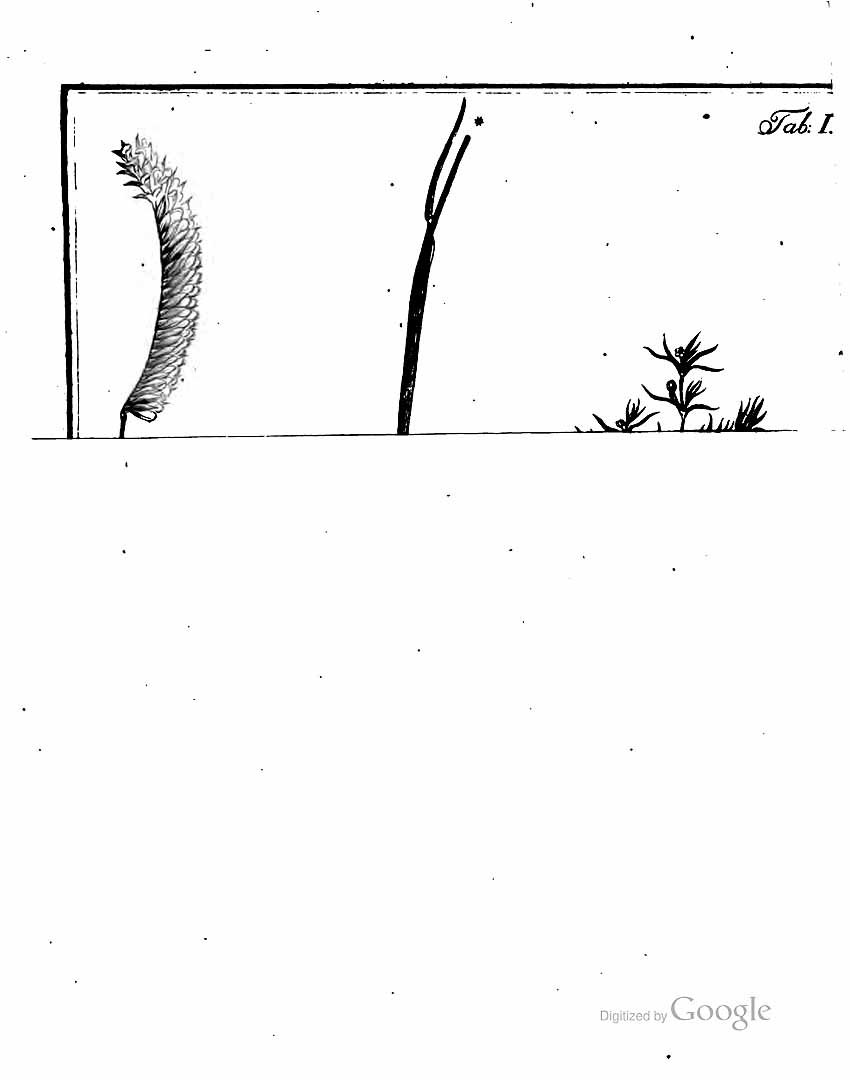 no HD illustration available (m3)
