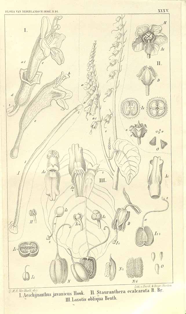 no HD illustration available (m1)