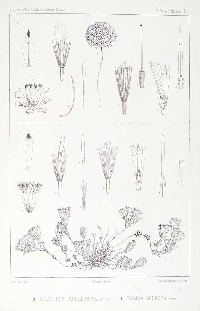 no HD illustration available (m3)