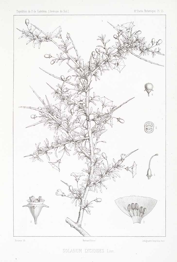 no HD illustration available (m1)