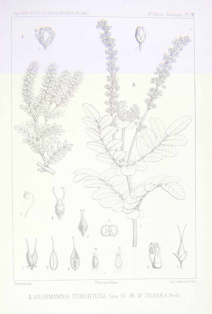 no HD illustration available (m3)