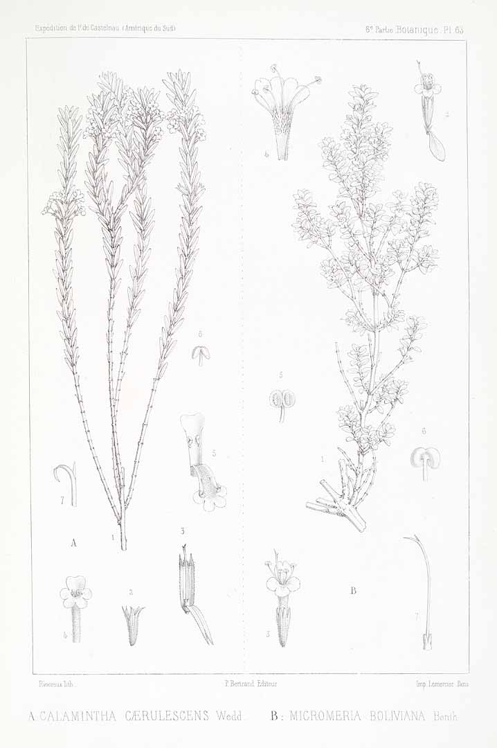 no HD illustration available (m3)