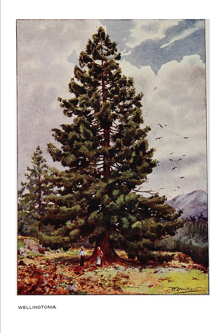 no HD illustration available (m3)