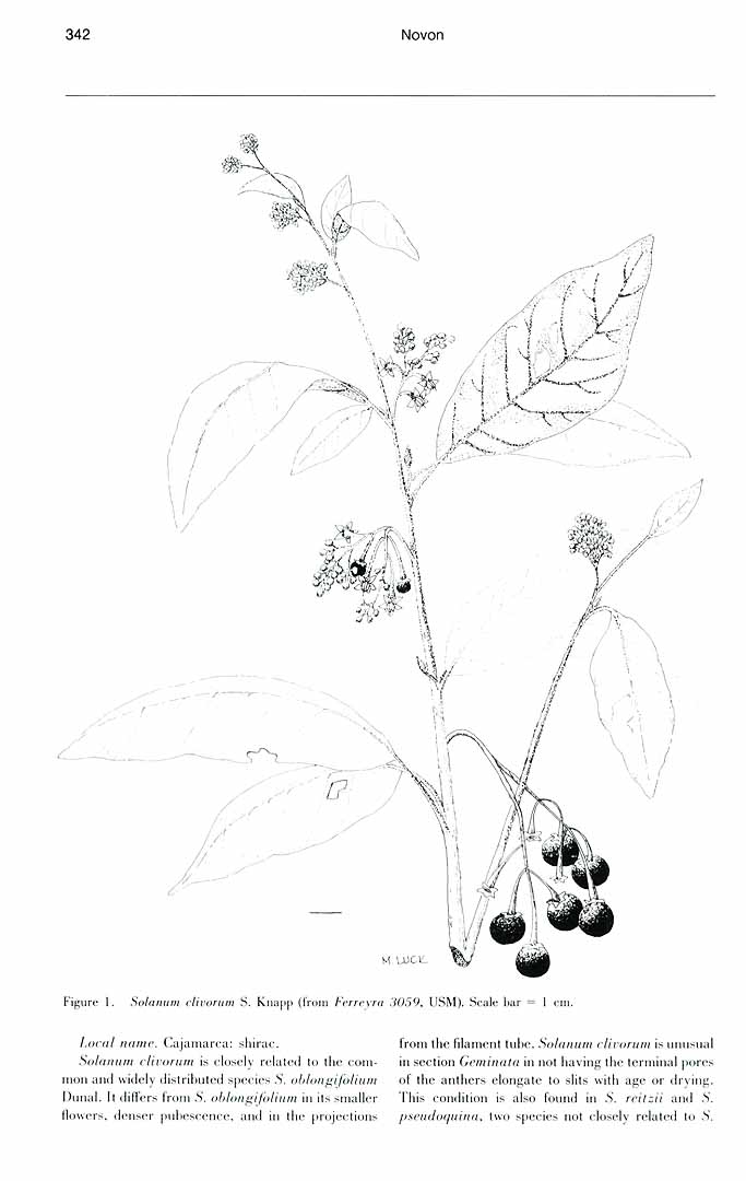 no HD illustration available (m1)