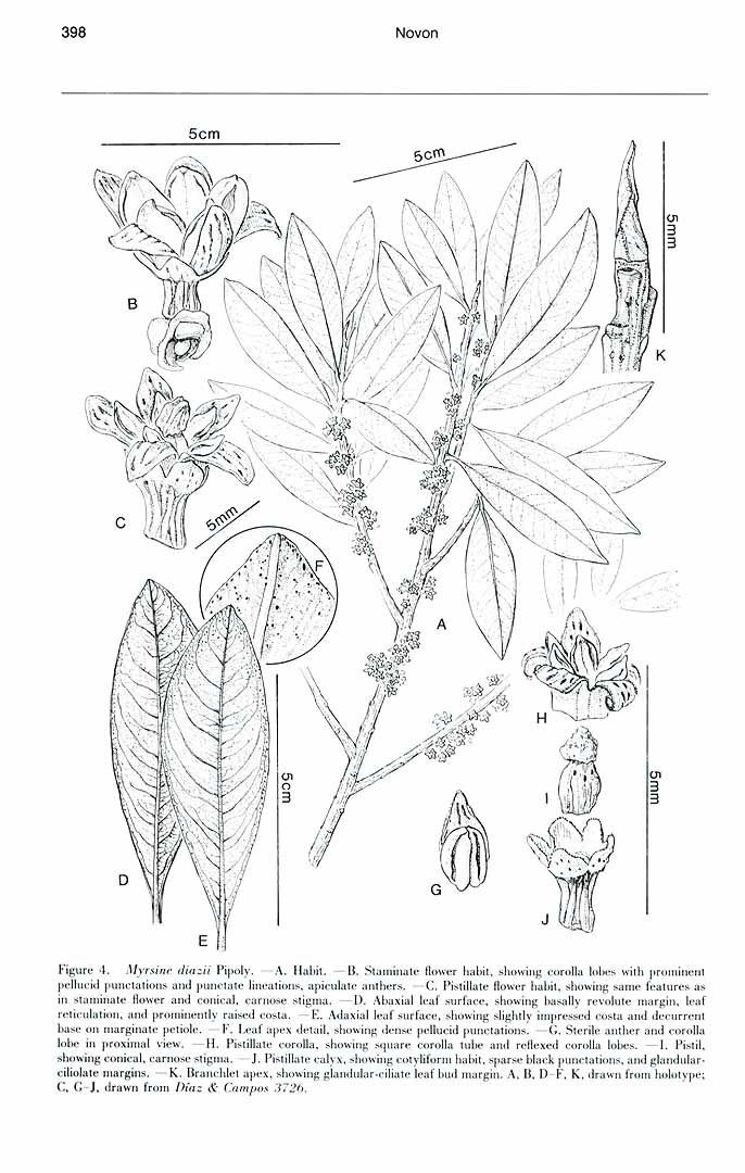 no HD illustration available (m3)