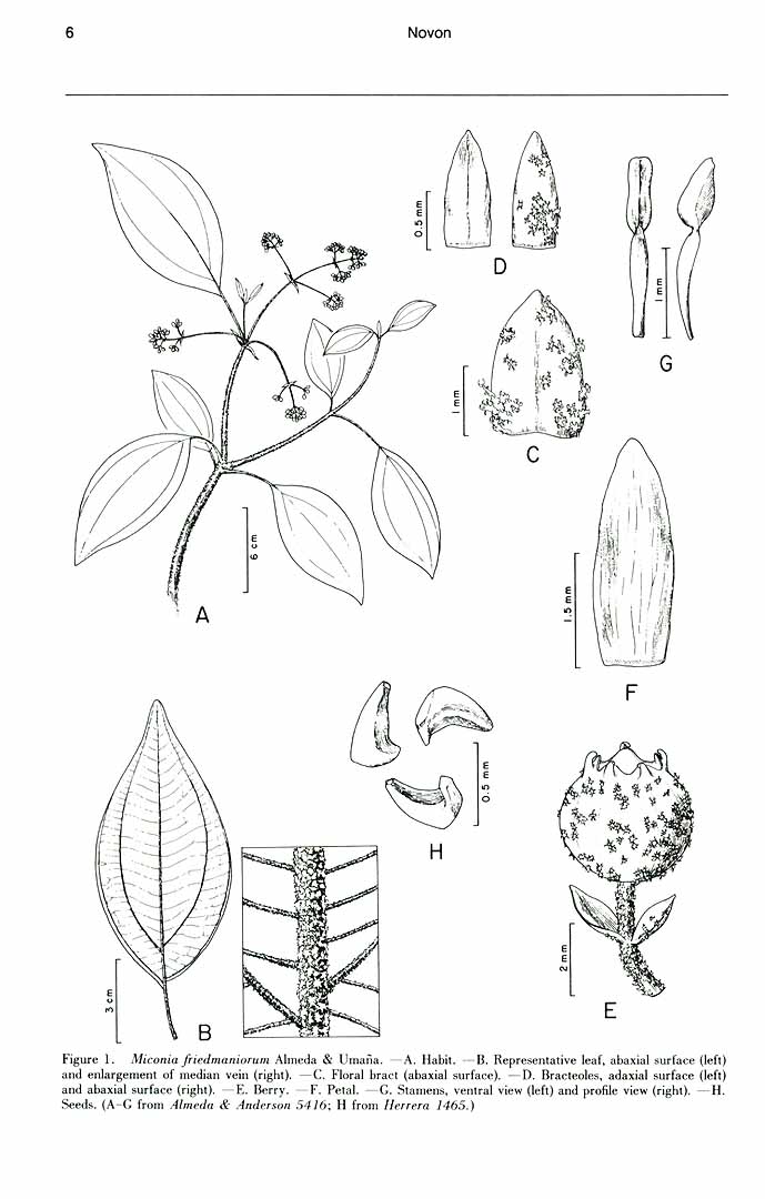 no HD illustration available (m1)
