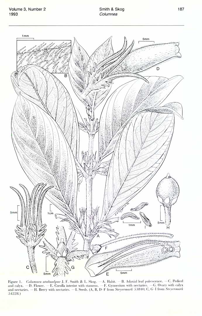 no HD illustration available (m1)