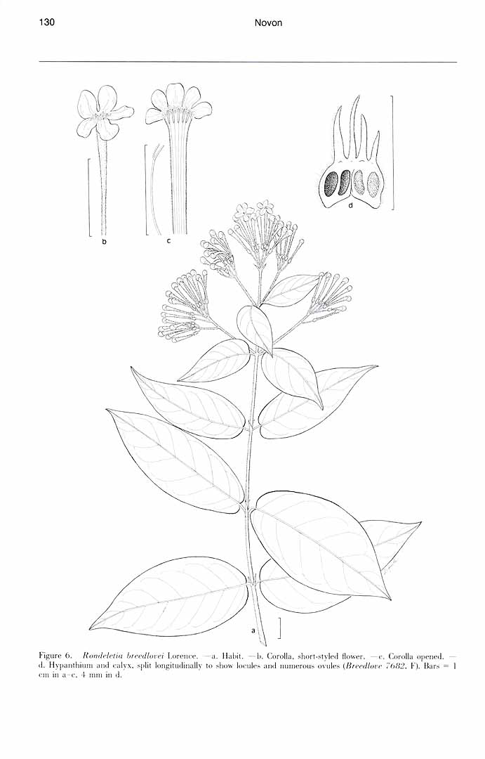 no HD illustration available (m3)