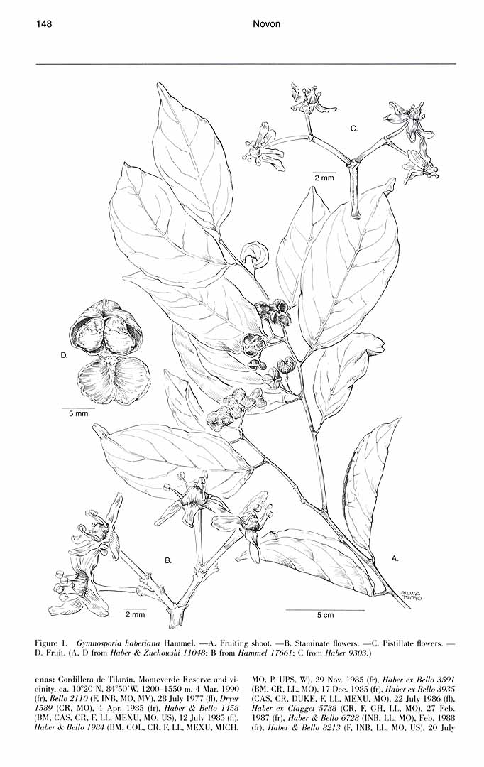 no HD illustration available (m3)