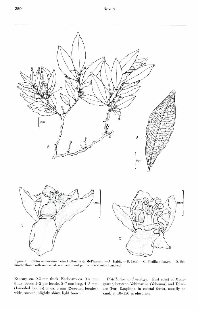 no HD illustration available (m3)