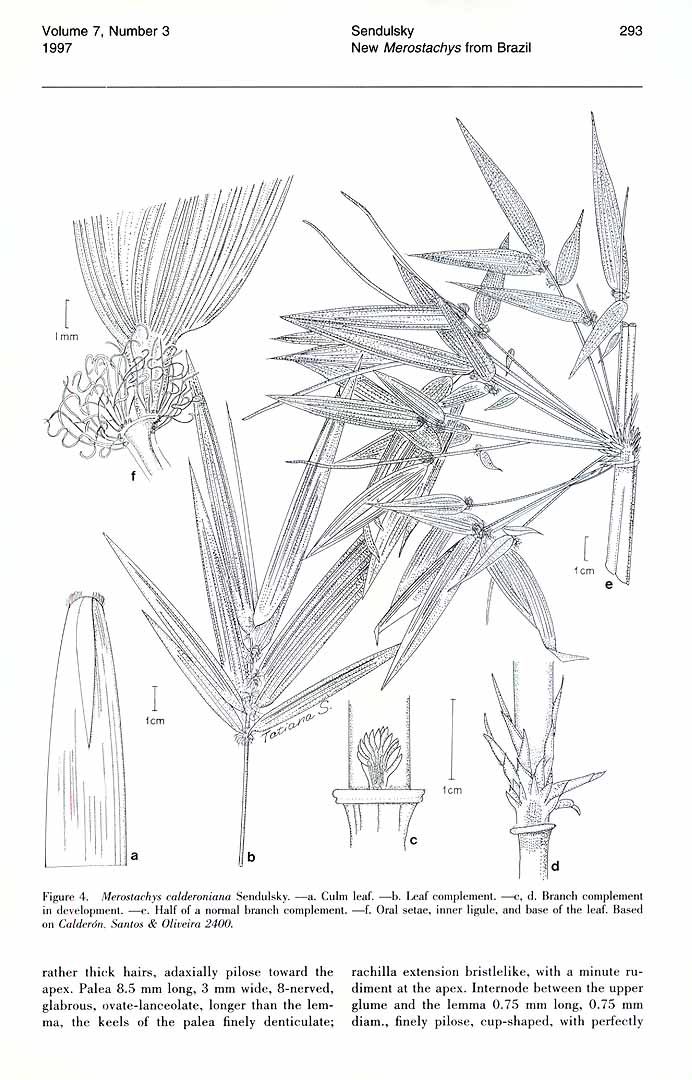 no HD illustration available (m3)