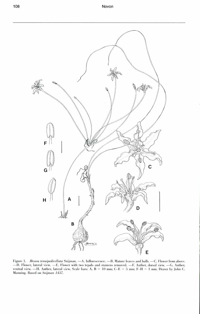 no HD illustration available (m3)