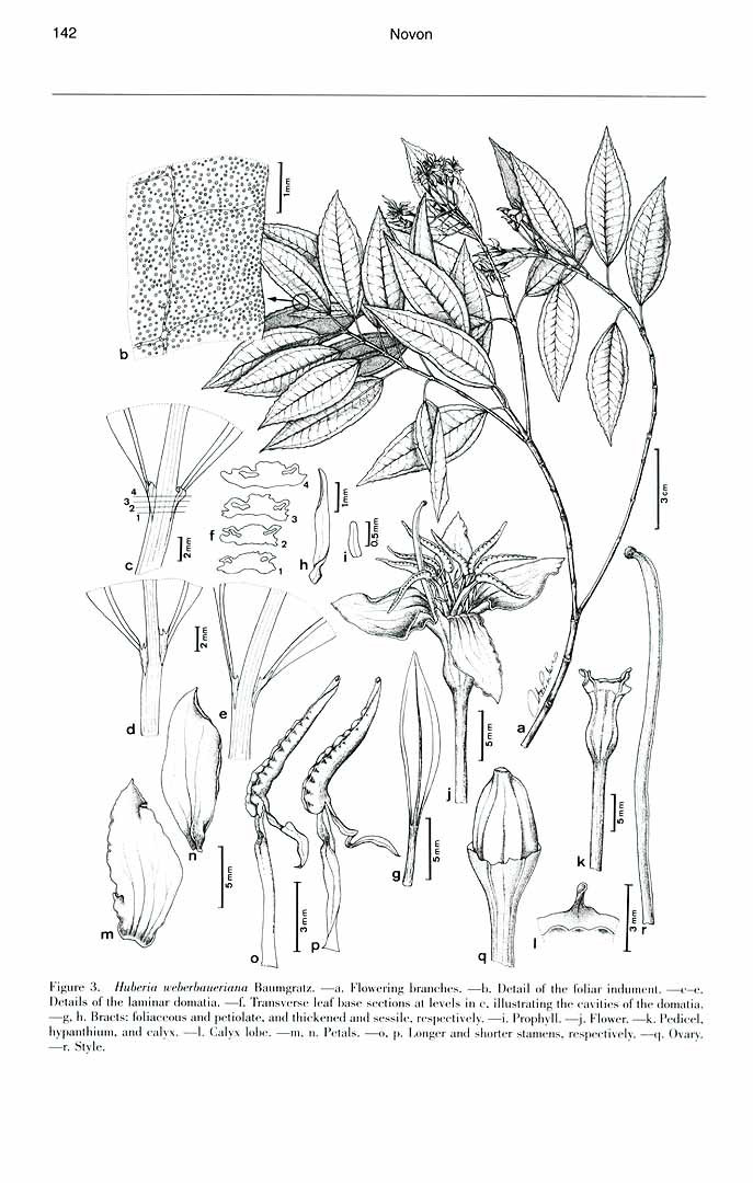 no HD illustration available (m3)
