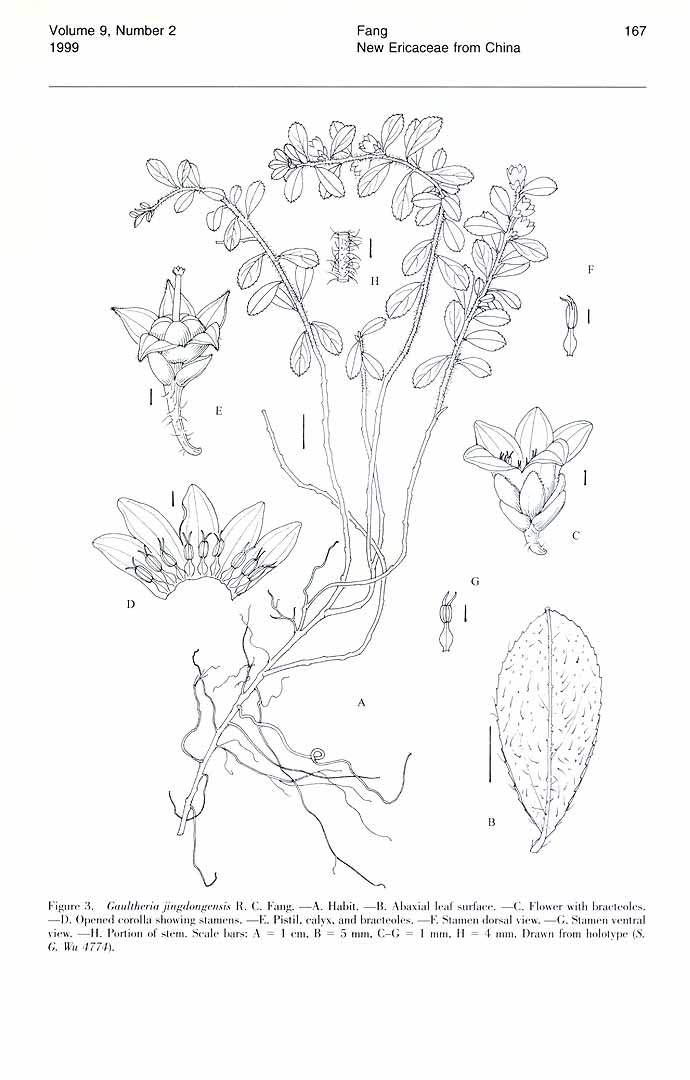 no HD illustration available (m3)