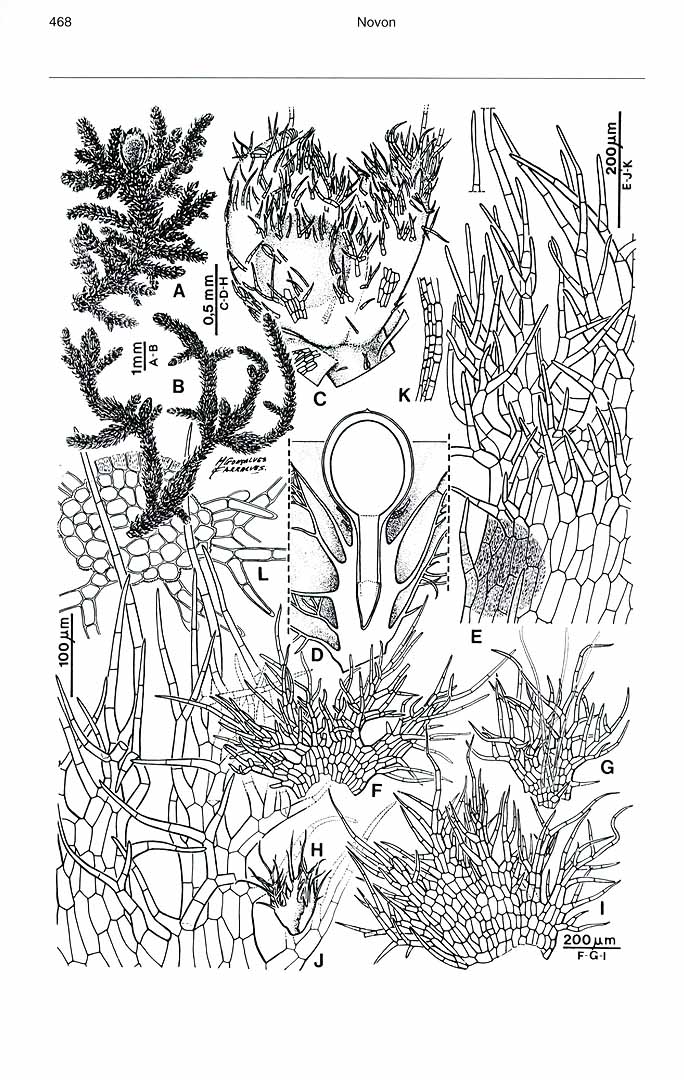 no HD illustration available (m3)