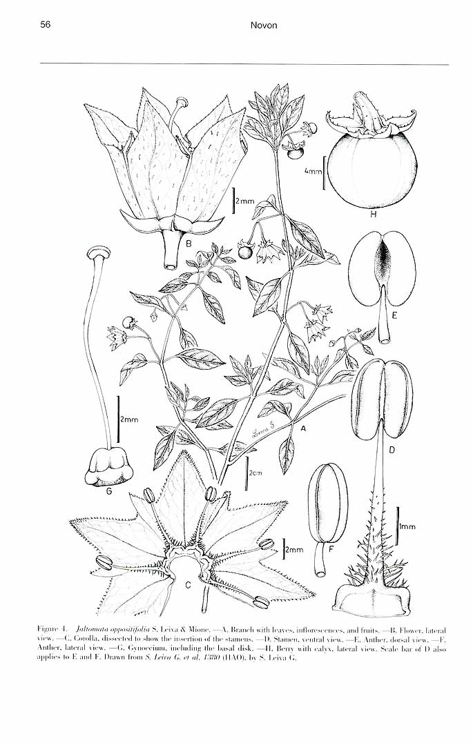 no HD illustration available (m3)