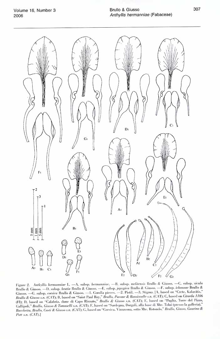 no HD illustration available (m1)