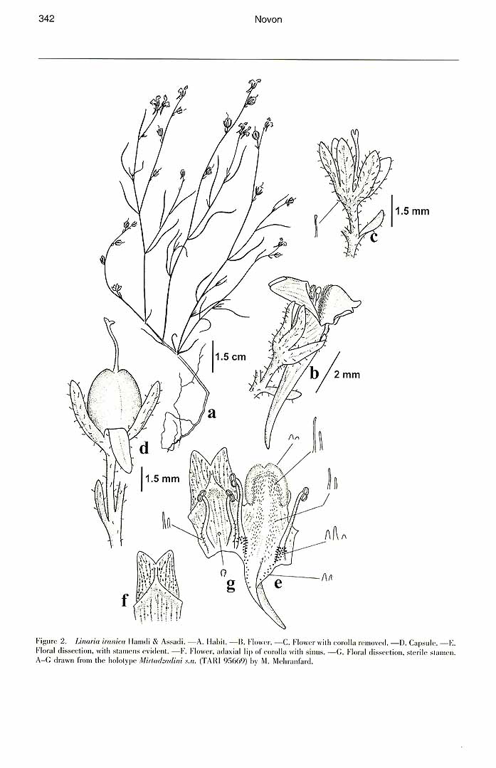 no HD illustration available (m1)