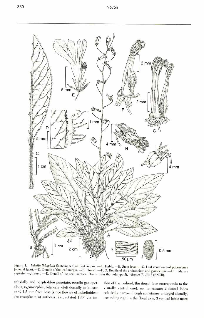no HD illustration available (m1)
