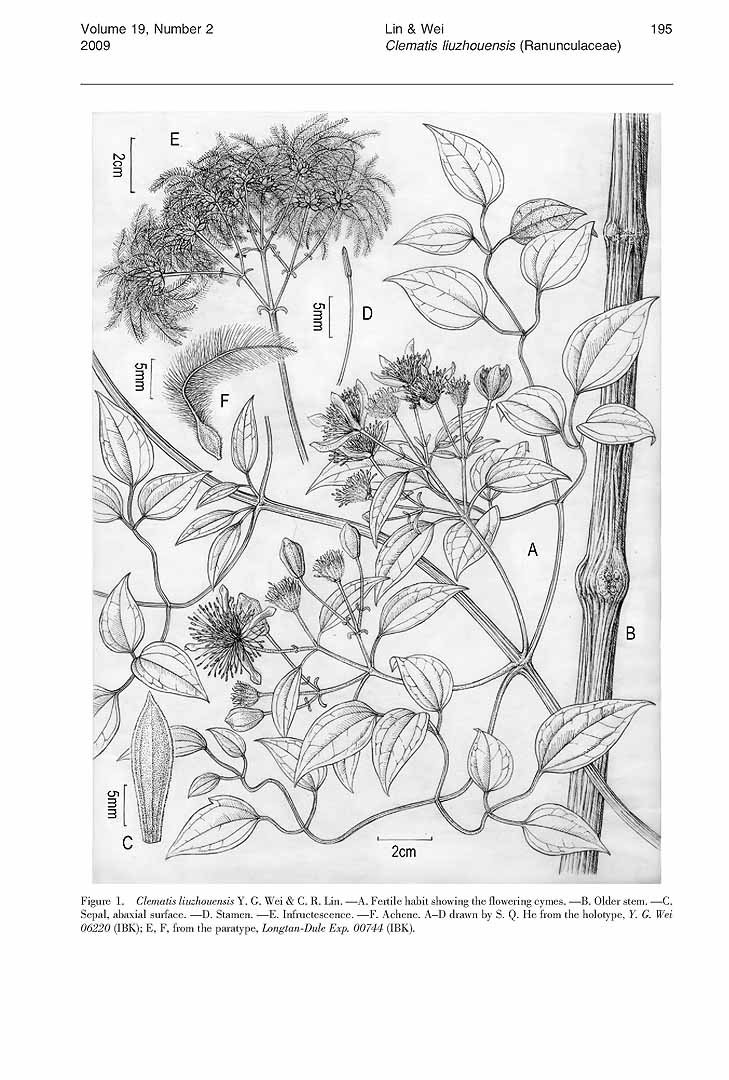 no HD illustration available (m3)