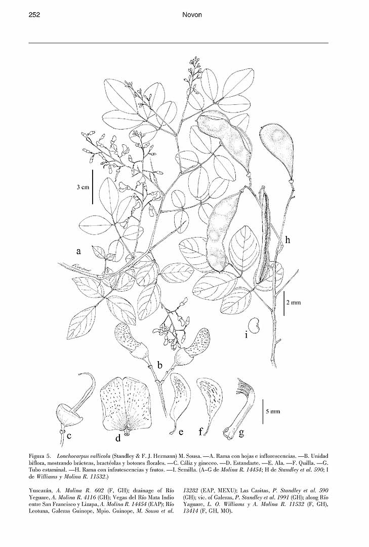 no HD illustration available (m3)