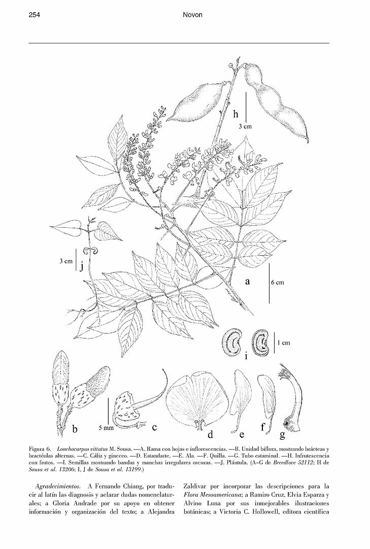 no HD illustration available (m3)