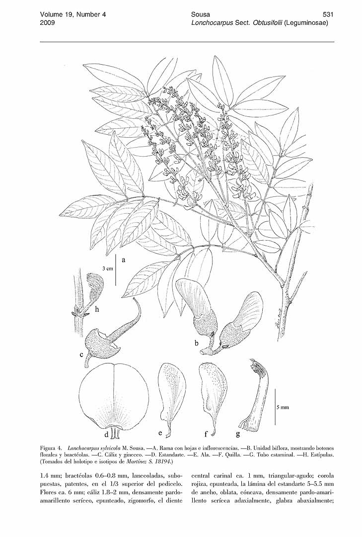 no HD illustration available (m3)