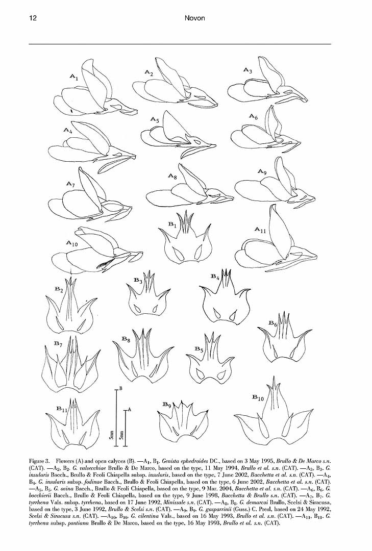 no HD illustration available (m3)