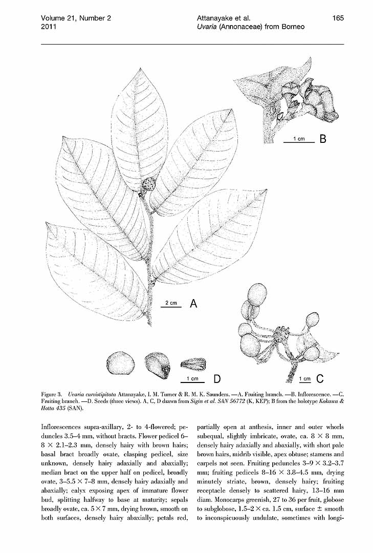 no HD illustration available (m5)