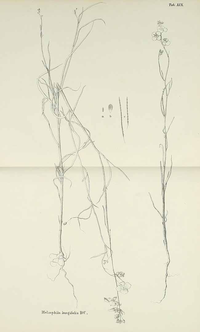 no HD illustration available (m1)