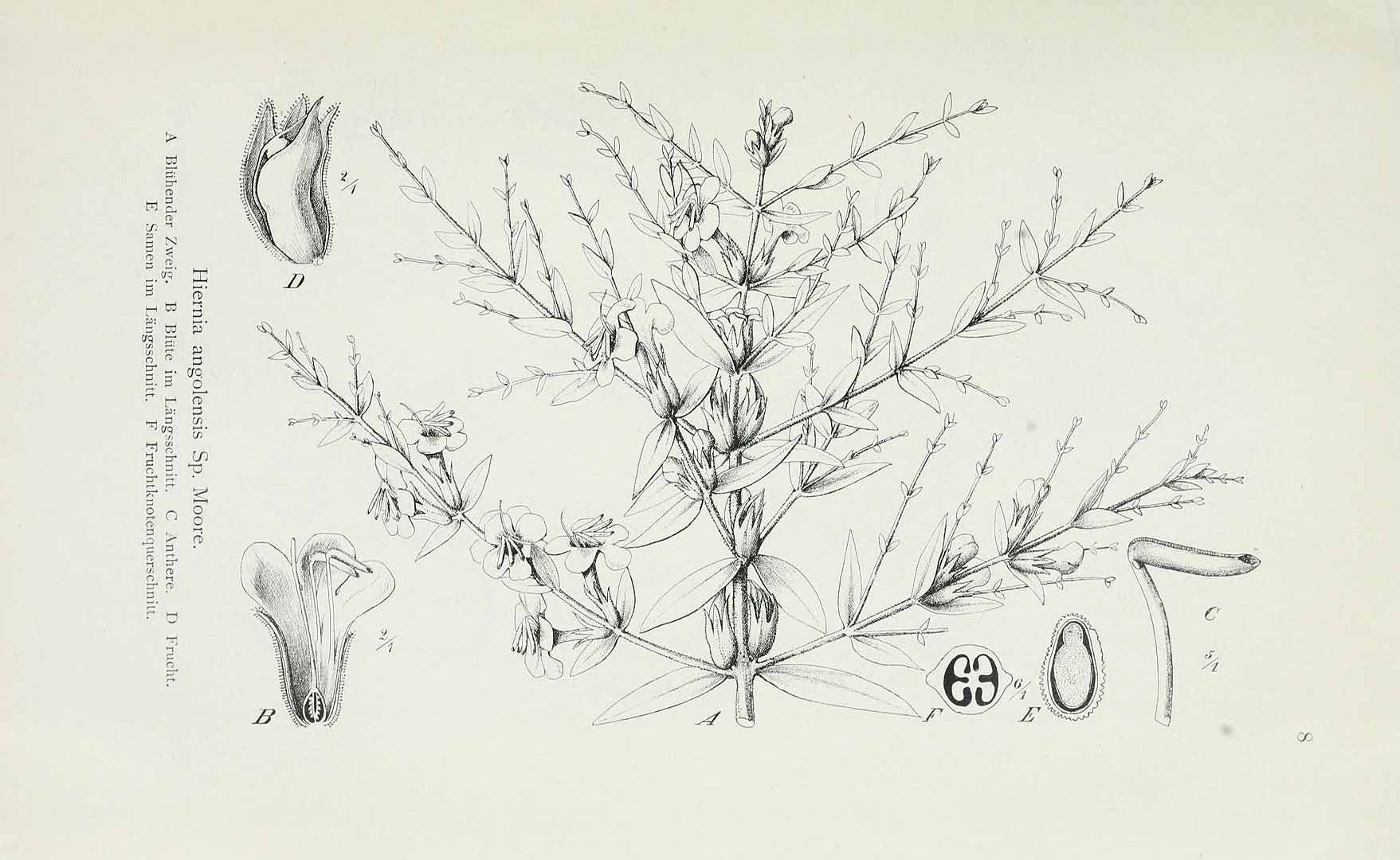 no HD illustration available (m5)