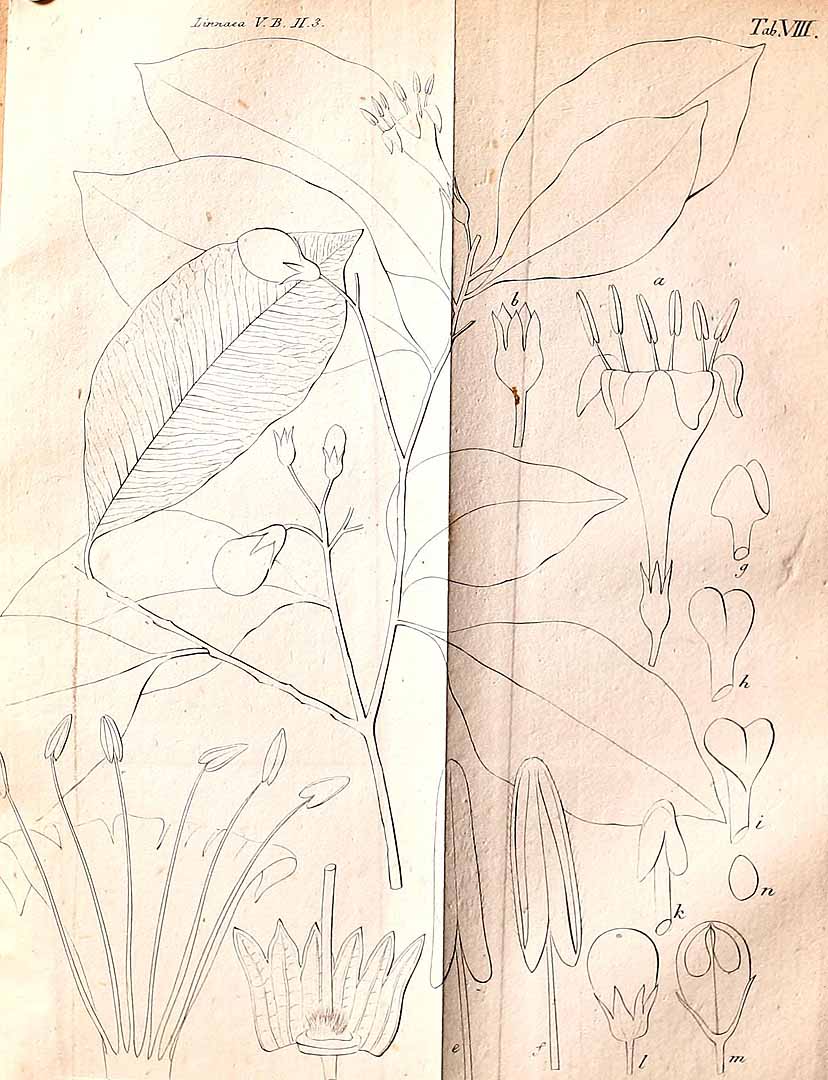 no HD illustration available (m3)