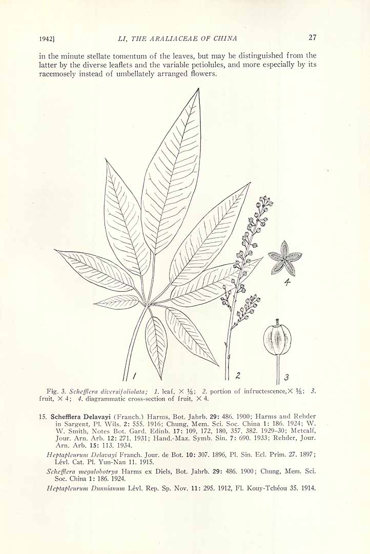 no HD illustration available (m1)