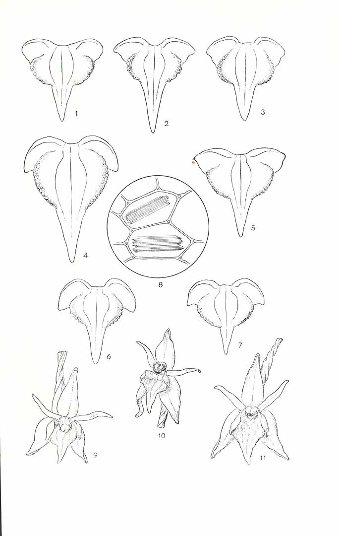 no HD illustration available (m1)