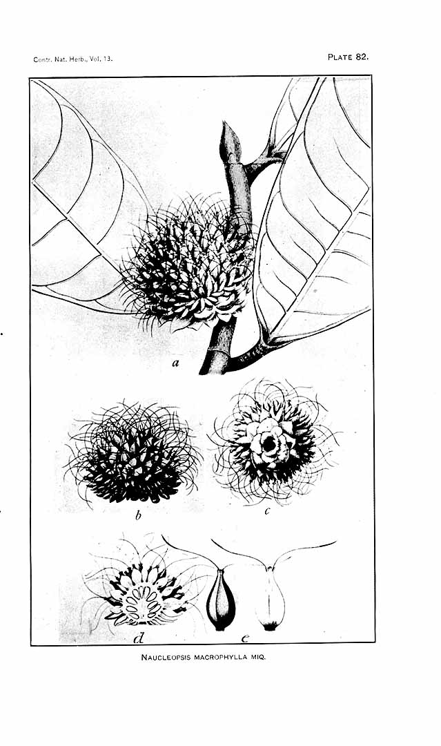 no HD illustration available (m3)