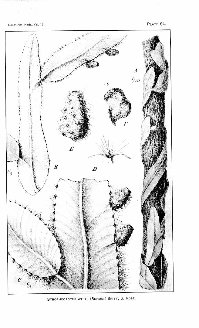 no HD illustration available (m1)