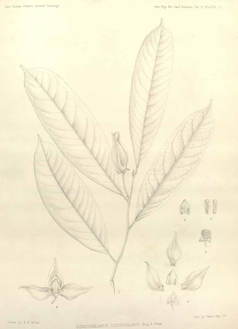 no HD illustration available (m3)